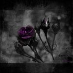 life and death