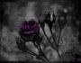 life and death