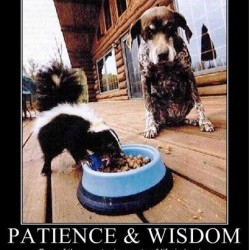 Blog Carnival: Patience