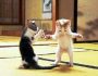 fighting_cats-300x274