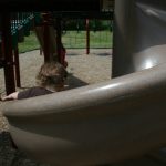 IMG_0340-500
