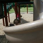 IMG_0341-500