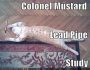 funny-pictures-clue-cat-dead