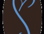superyouthpastorlogo
