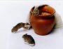 spontaneous generation of mice